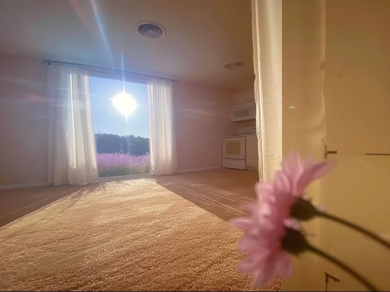 Pink flower beside a sunlit window.