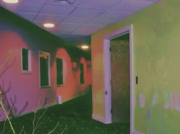 Pink corridor with grass on the floor.