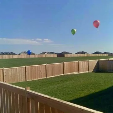 Balloons floating over a fenced lawn.