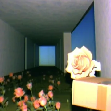 Roses inside a blue-lit empty room.