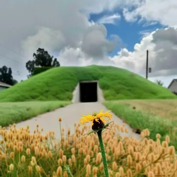 Doorway in a grassy mound surrounded by flowers.