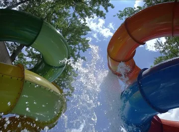 Colorful water slides beneath trees.