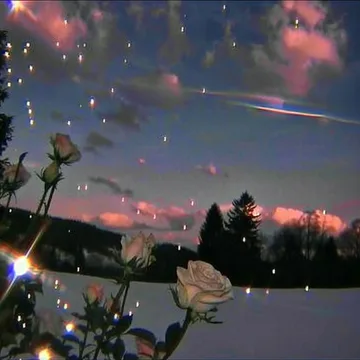 Flowers and shimmering light beneath a sunset sky.