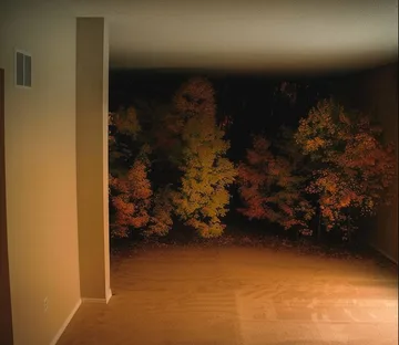 Open room facing trees at night.