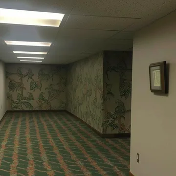 Patterned carpet in an empty fluorescent hallway.