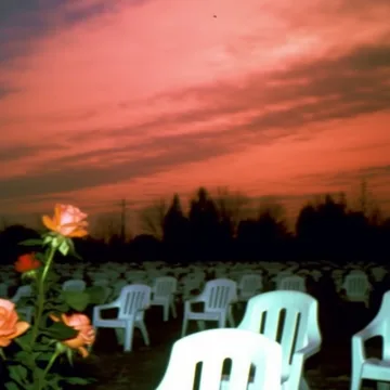 White chairs among flowers under a red sunset.