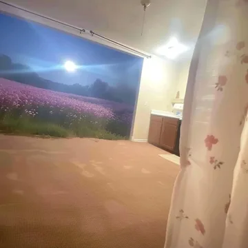 Empty room opening to flowers under moonlight.