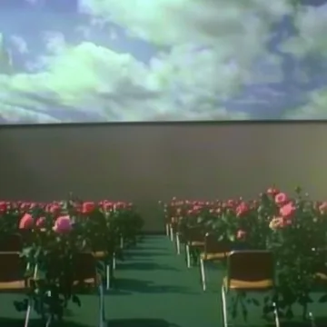 Chairs among flowers beneath a cloud-filled opening.