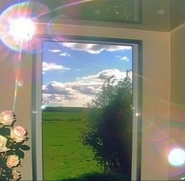 Flowers beside a sunlit doorway to grass.