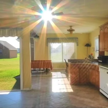 Sunlight in a living room opening to a lawn.