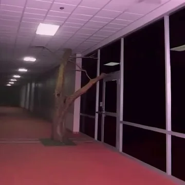 Long windowed corridor with a pink carpet.