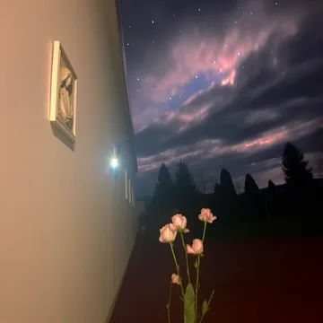 Flowers beside a window onto a stormy sky.