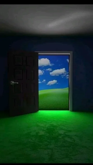Door to blue sky in a dark grassy room.
