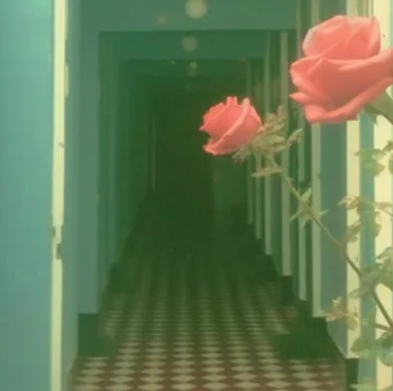 Roses in a striped green corridor.