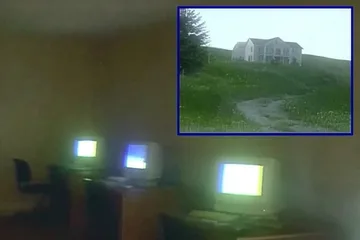 Glowing computer monitors in a dark grassy room.