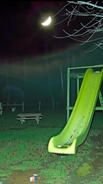 Green slide beneath a moonlit tree.