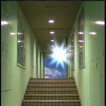 Sunlight above a staircase in a green corridor.