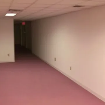 Plain empty corridor with pink carpeting.