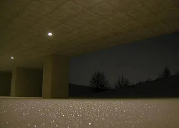 Dark room opening onto trees at night.