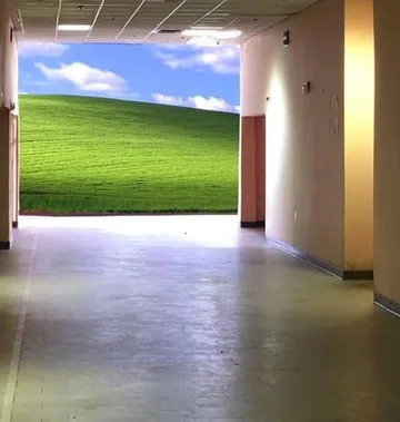 Empty room opening onto a sunlit green field.