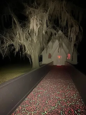Empty road beneath a tangled tree at night.