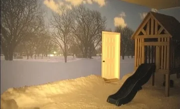 Playground slide beside a tree at night.