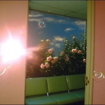 Flowers beyond a glowing green doorway.