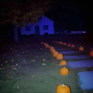 Pumpkins along a path to a blue-lit house.