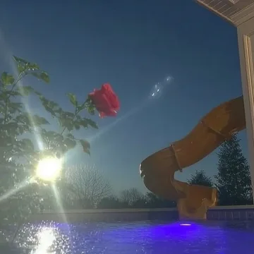 Water slide illuminated against a night sky.