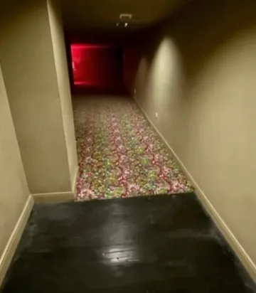 Red-lit door at the end of a patterned hallway.