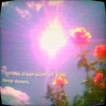 Pink flowers and bright light on a curved television screen.