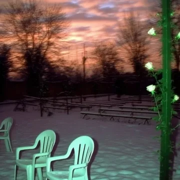 White chairs beneath trees at sunset.