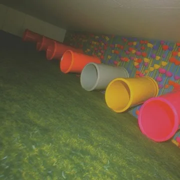 Colored tunnels in a grassy playroom.