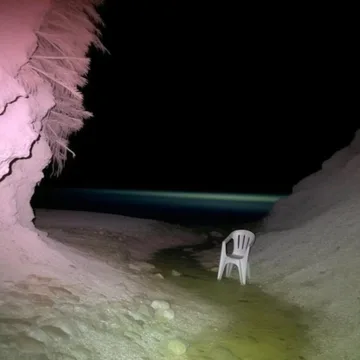 Lone chair beside a pink tree under a black sky.