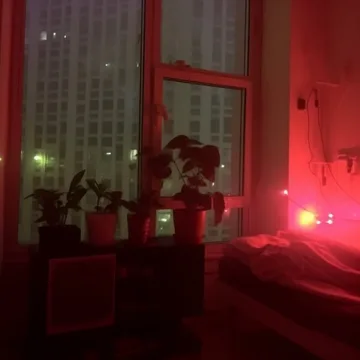 Red light glowing beside plants and a curtained window.