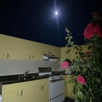 Flowers beside a kitchen beneath a dark moonlit sky.