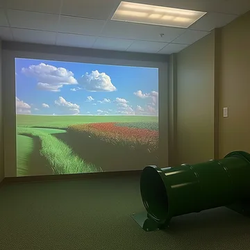 Green sofa facing a wide opening to a field.