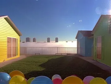 Balloons on the edge of a suburban yard.