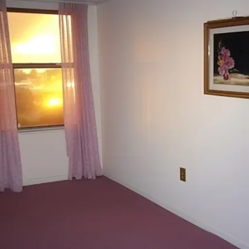 Pink-carpeted room with sunlight in a doorway.