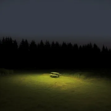 Lone object illuminated on grass before a dark forest.