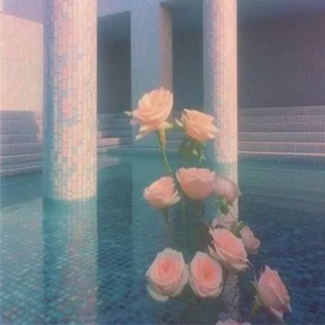 Roses behind glass columns.