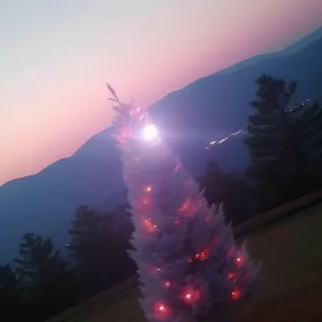 Decorated tree against a mountain sunset.