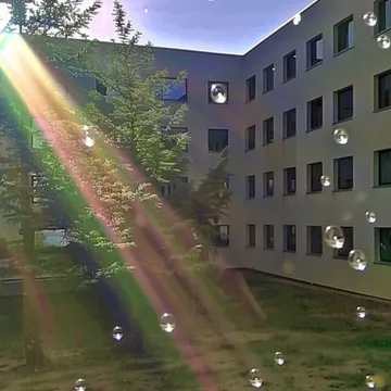 Sunbeams in a green apartment courtyard.