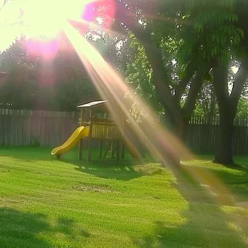 Sunbeams through a tree above a yellow slide.