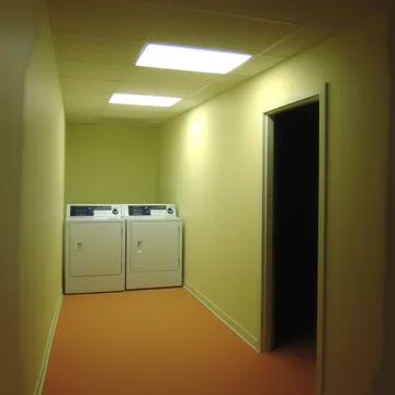 Washing machines in a yellow-green hallway.