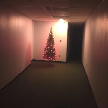 Decorated tree glowing in a red doorway.
