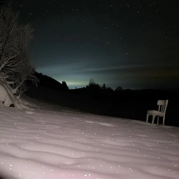 Lone chair near a tree in a snowy night landscape.