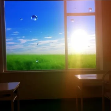Sunlight through a window overlooking a green field.