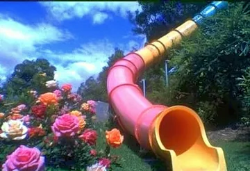 Pink slide among roses beneath a blue sky.