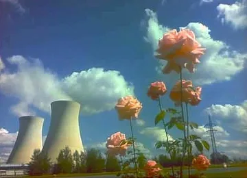 Flowers before distant towers under clouds.
